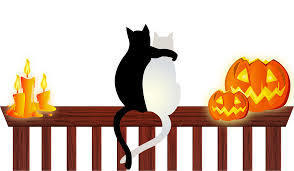 cats on a fence
