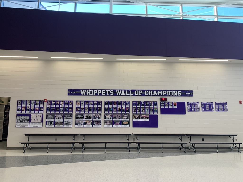 CHAMP WALL