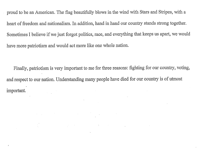 Essay2