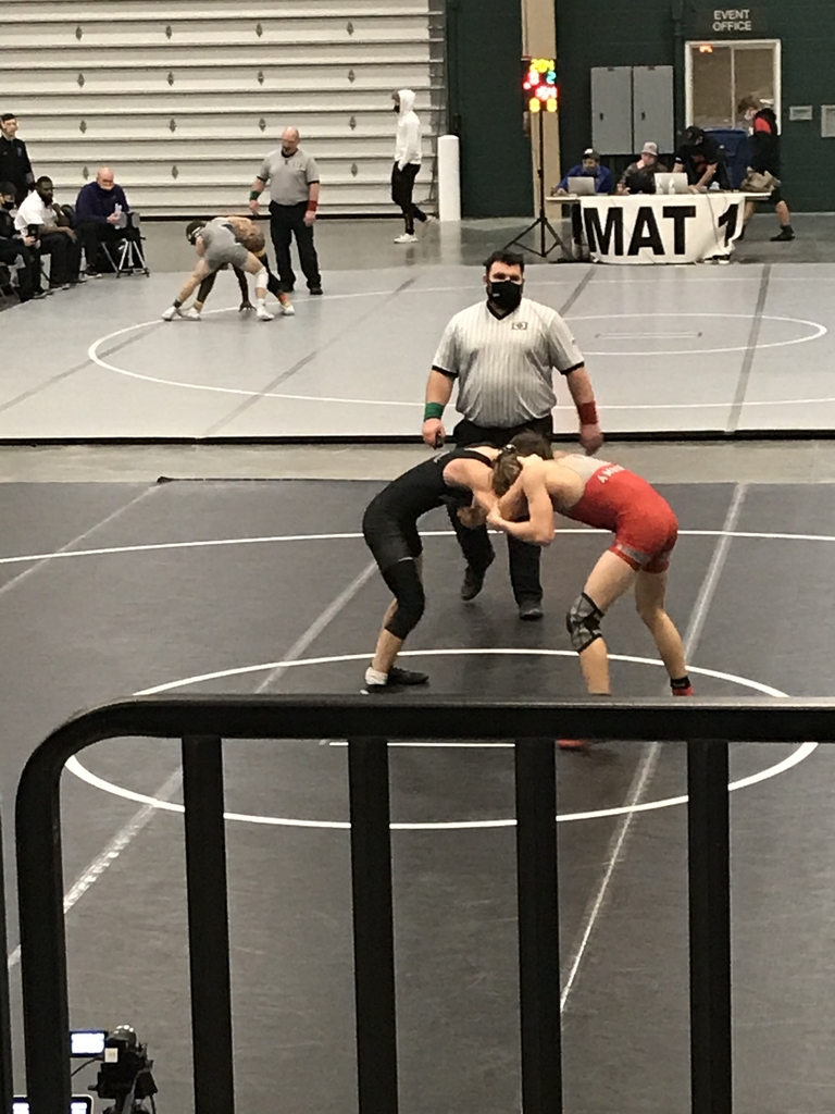 Wrestlers