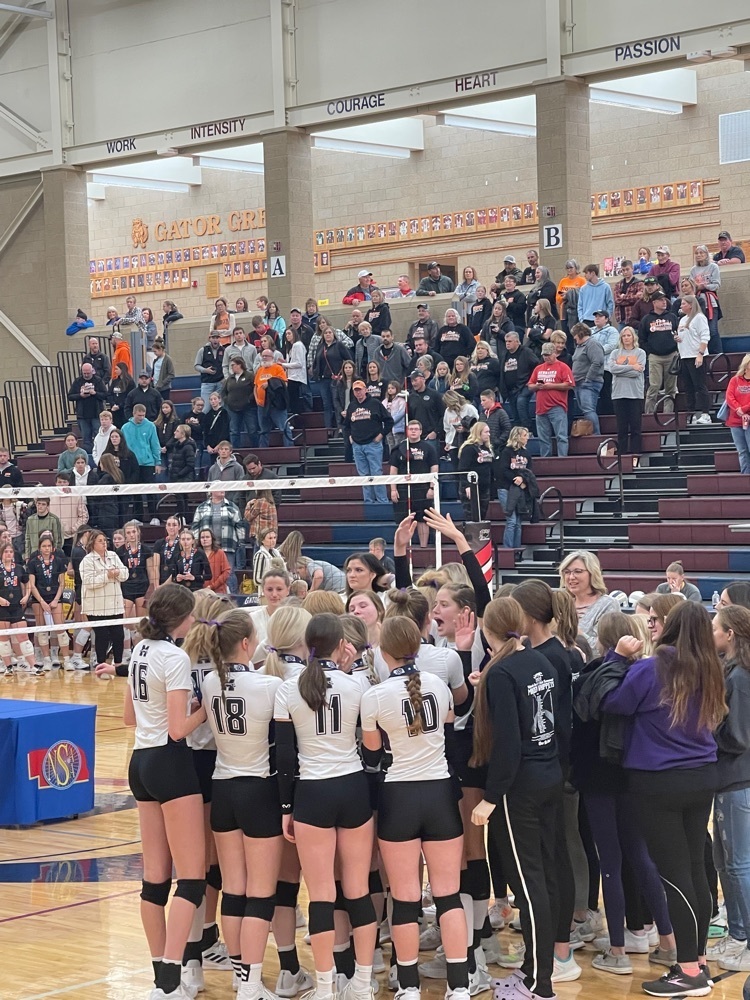 State Volleyball